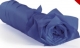 50 x 75 cm<br/> 18 g/m²<br/>marineblau