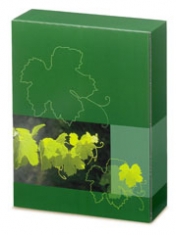 Lichtspiel<br/>Überreichkarton