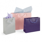 Lackpapier-Tragetaschen mit Organdi Tragegriffen