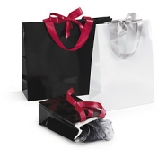 Lackpapier-Tragetaschen mit Satinschleife